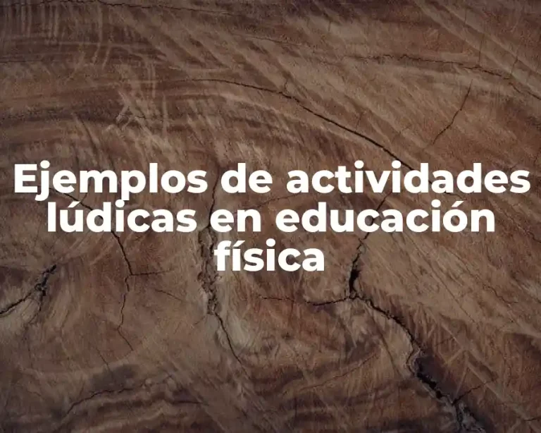 Ejemplos de actividades lúdicas en educación física