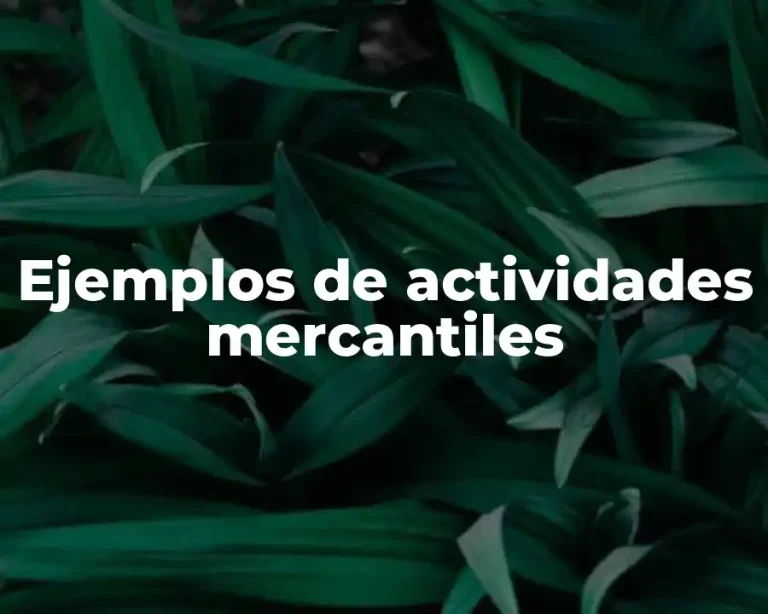 Ejemplos de actividades mercantiles