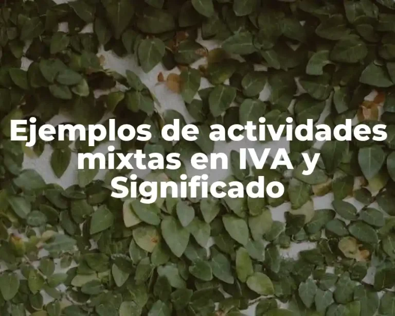 Ejemplos de actividades mixtas en IVA y Significado