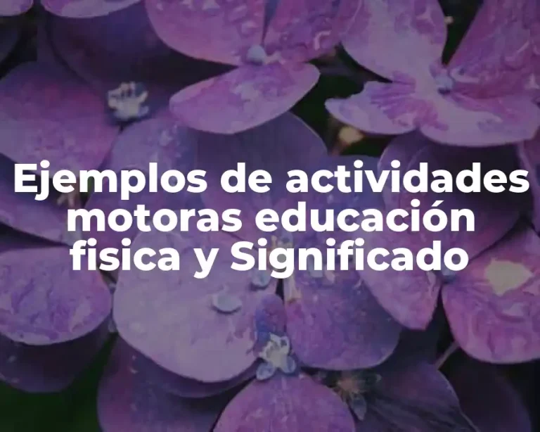 Ejemplos de actividades motoras educación fisica y Significado