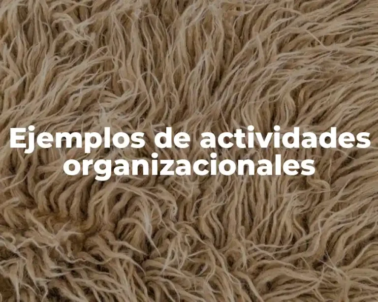 Ejemplos de actividades organizacionales