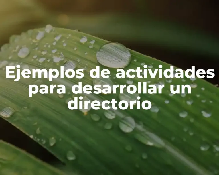 Ejemplos de actividades para desarrollar un directorio