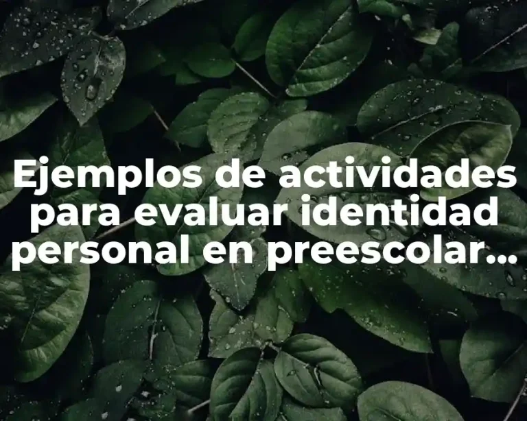 Ejemplos de actividades para evaluar identidad personal en preescolar y Significado