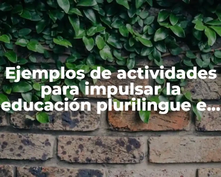 Ejemplos de actividades para impulsar la educación plurilingue e intercultural y Significado