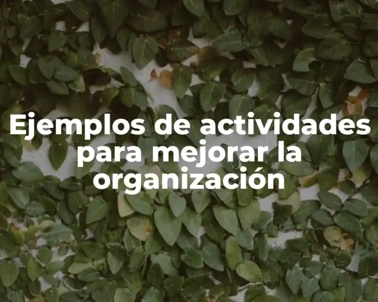 Ejemplos de actividades para mejorar la organización