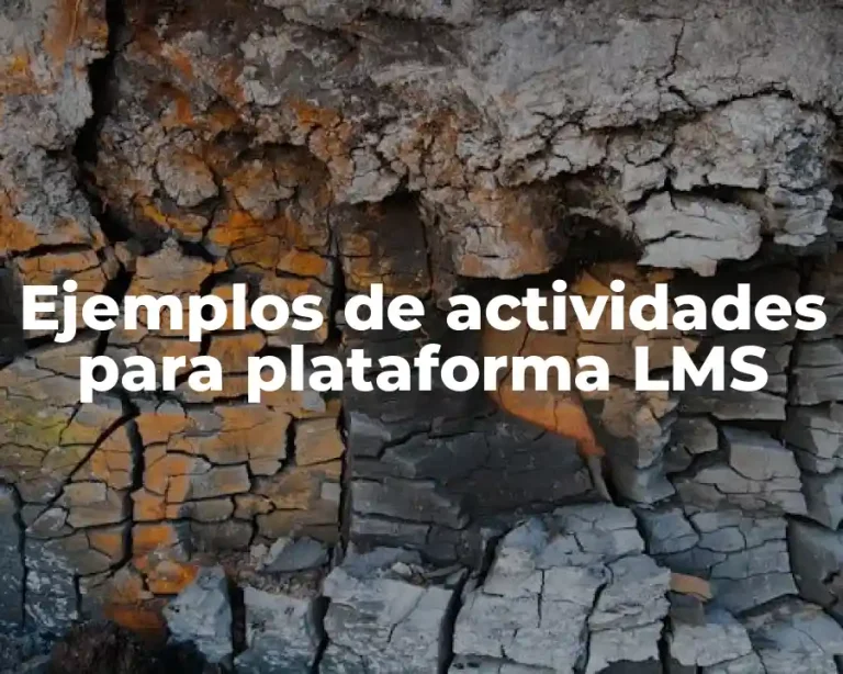Ejemplos de actividades para plataforma LMS