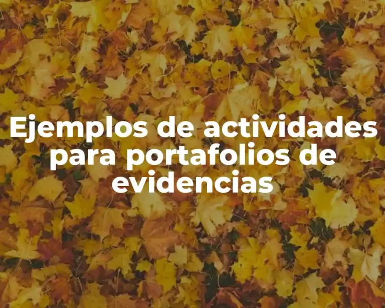 Ejemplos de actividades para portafolios de evidencias
