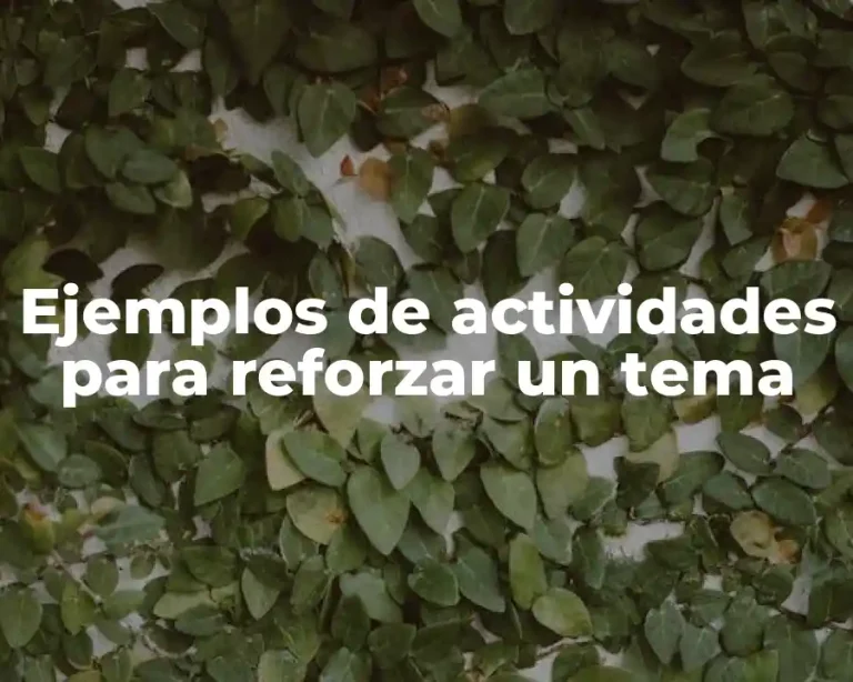 Ejemplos de actividades para reforzar un tema