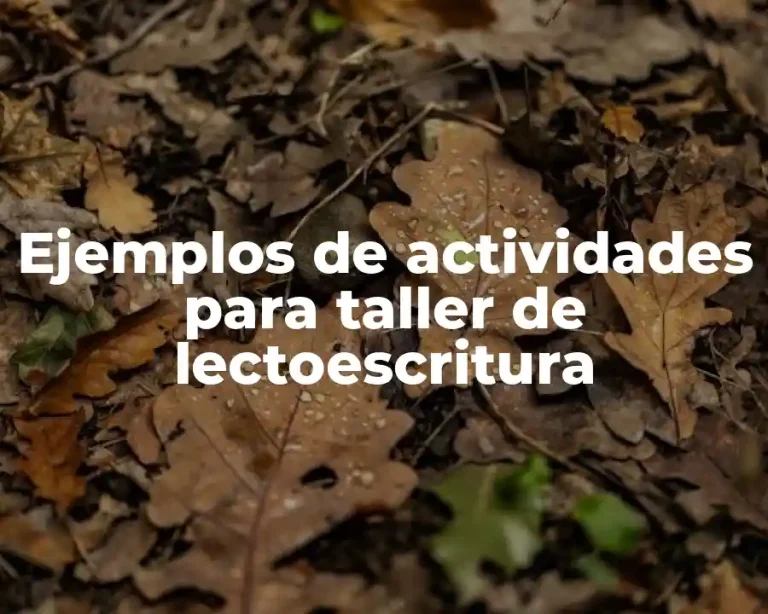 Ejemplos de actividades para taller de lectoescritura