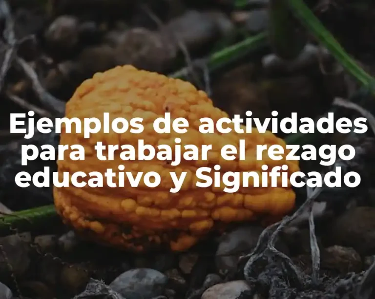Ejemplos de actividades para trabajar el rezago educativo y Significado