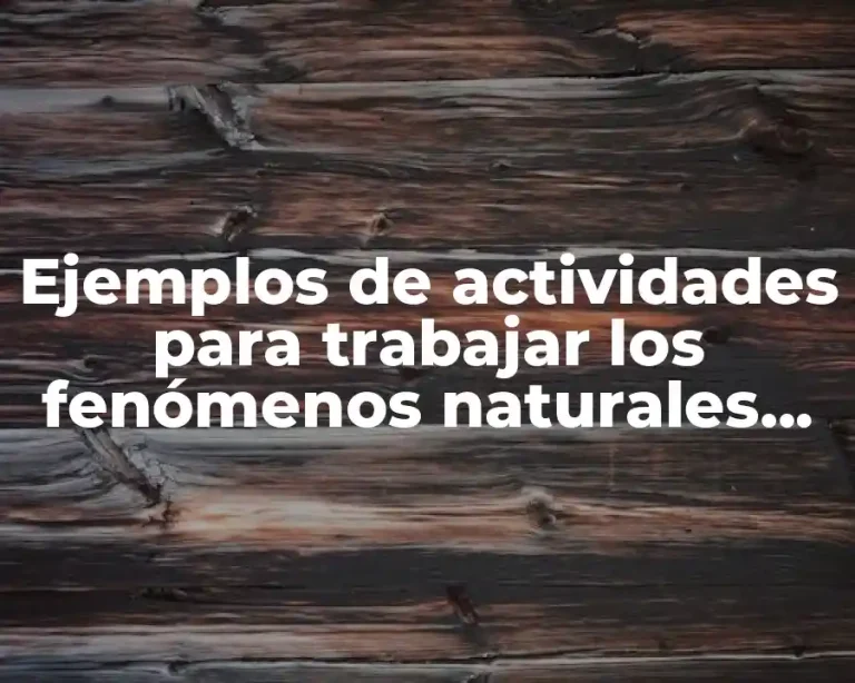 Ejemplos de actividades para trabajar los fenómenos naturales en