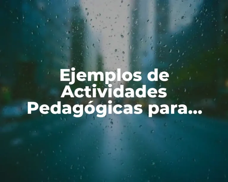 Ejemplos de Actividades Pedagógicas para Bachillerato