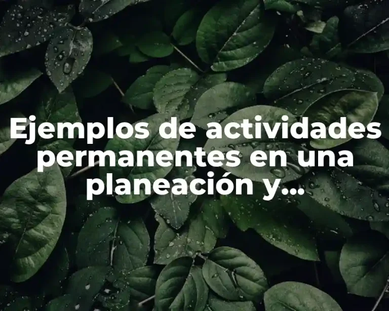 Ejemplos de actividades permanentes en una planeación y Significado