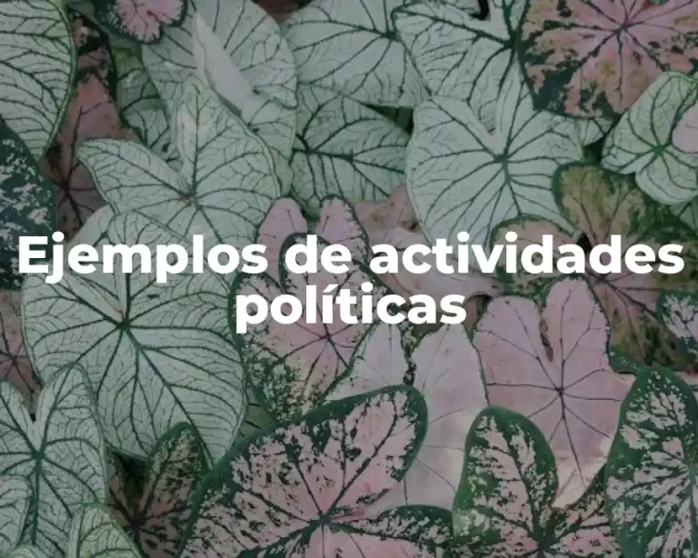 Ejemplos de actividades políticas