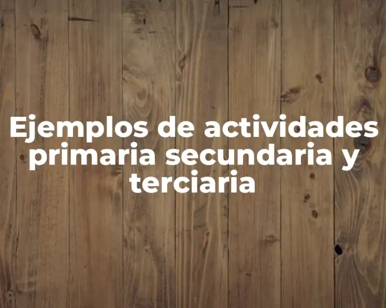 Ejemplos de actividades primaria secundaria y terciaria