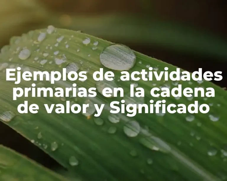 Ejemplos de actividades primarias en la cadena de valor y Significado