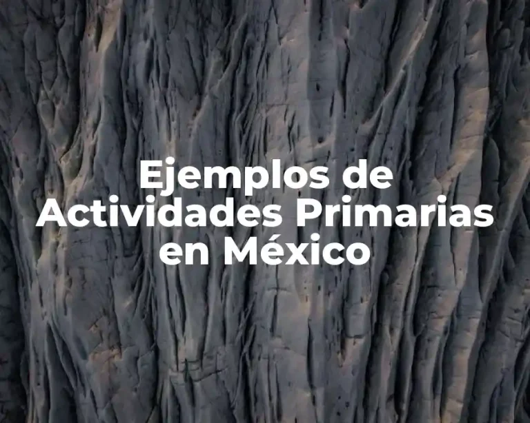 Ejemplos de Actividades Primarias en México