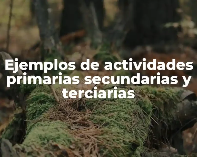 Ejemplos de actividades primarias secundarias y terciarias