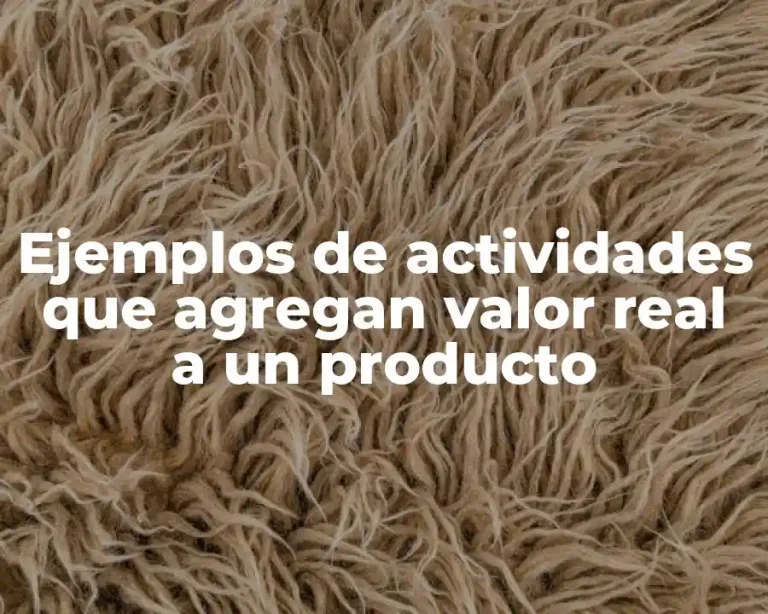 Ejemplos de actividades que agregan valor real a un producto