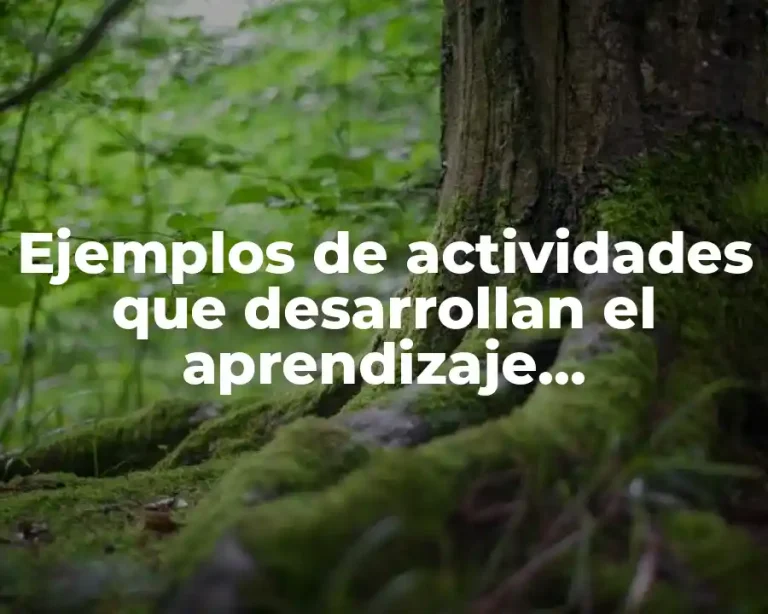 Ejemplos de actividades que desarrollan el aprendizaje significativo
