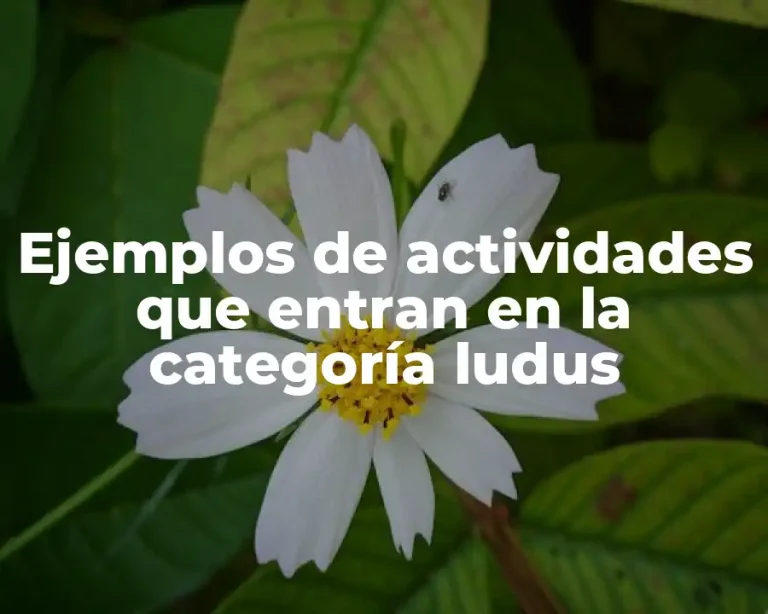 Ejemplos de actividades que entran en la categoría ludus