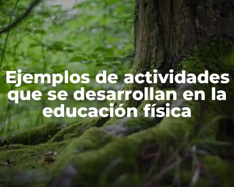 Ejemplos de actividades que se desarrollan en la educación física