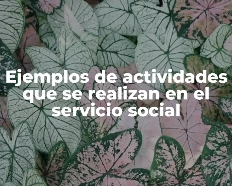 Ejemplos de actividades que se realizan en el servicio social