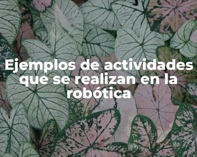 Ejemplos de actividades que se realizan en la robótica