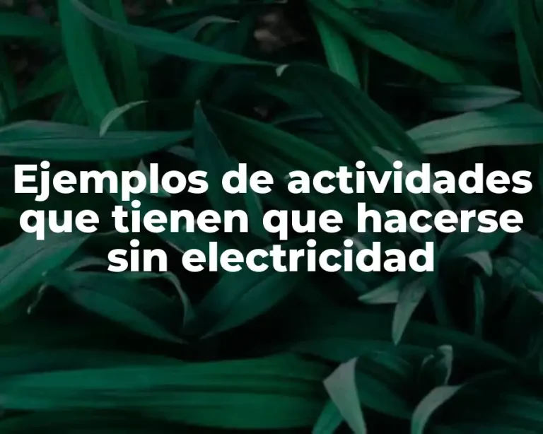Ejemplos de actividades que tienen que hacerse sin electricidad