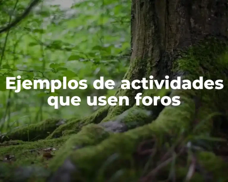 Ejemplos de actividades que usen foros