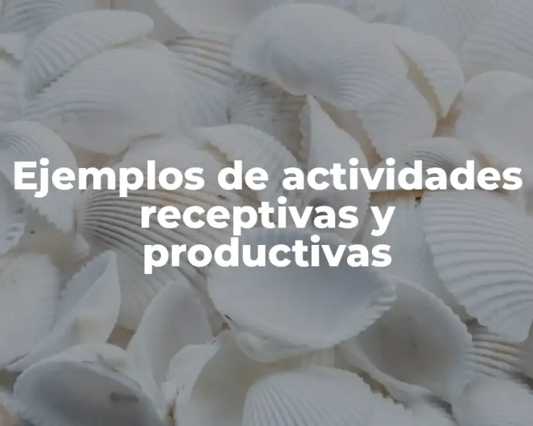 Ejemplos de actividades receptivas y productivas