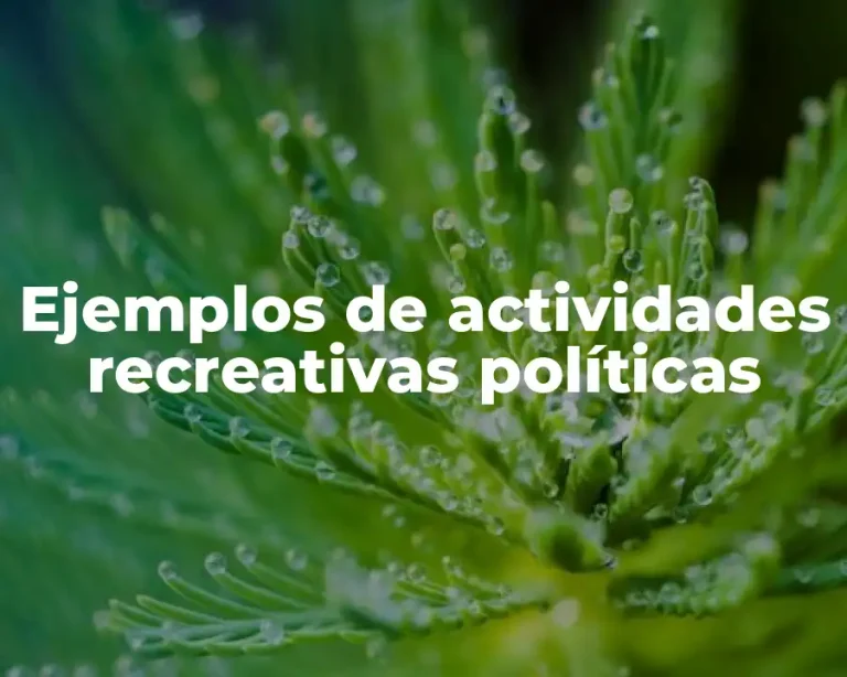 Ejemplos de actividades recreativas políticas