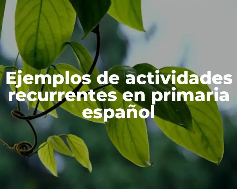 Ejemplos de actividades recurrentes en primaria español