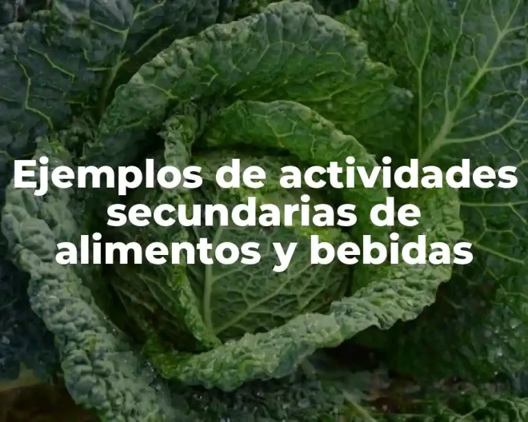 Ejemplos de actividades secundarias de alimentos y bebidas