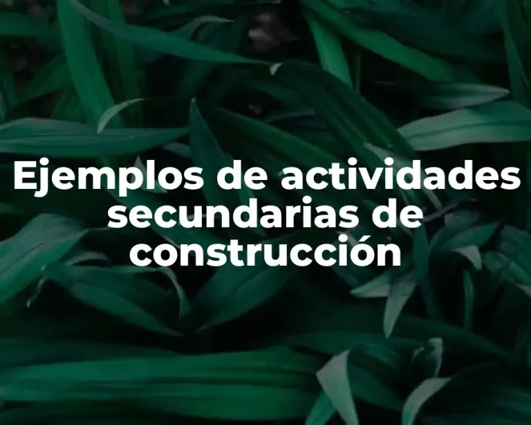 Ejemplos de actividades secundarias de construcción