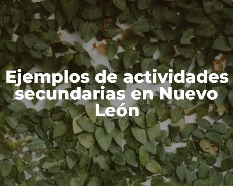 Ejemplos de actividades secundarias en Nuevo León