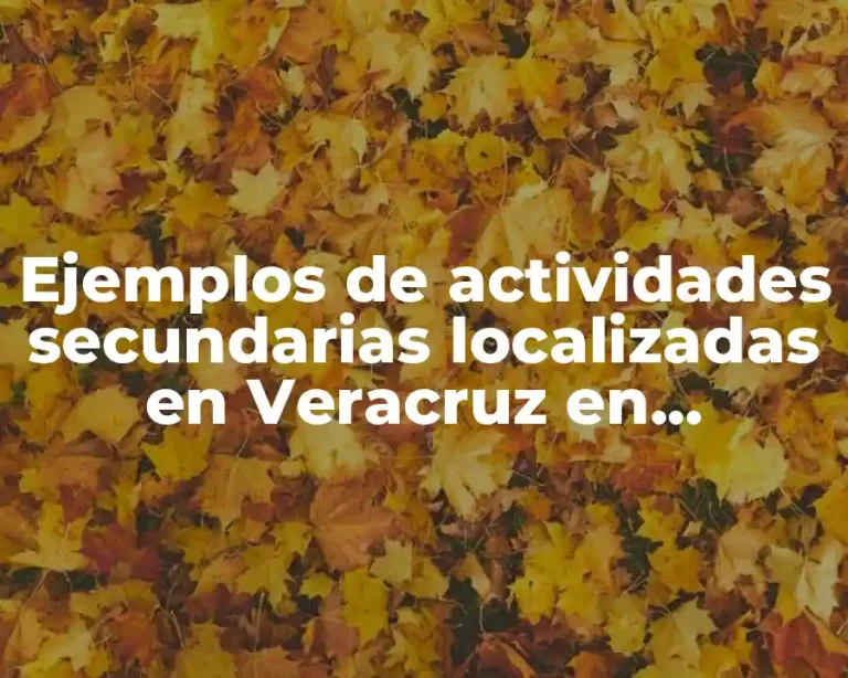 Ejemplos de actividades secundarias localizadas en Veracruz en Veracruz