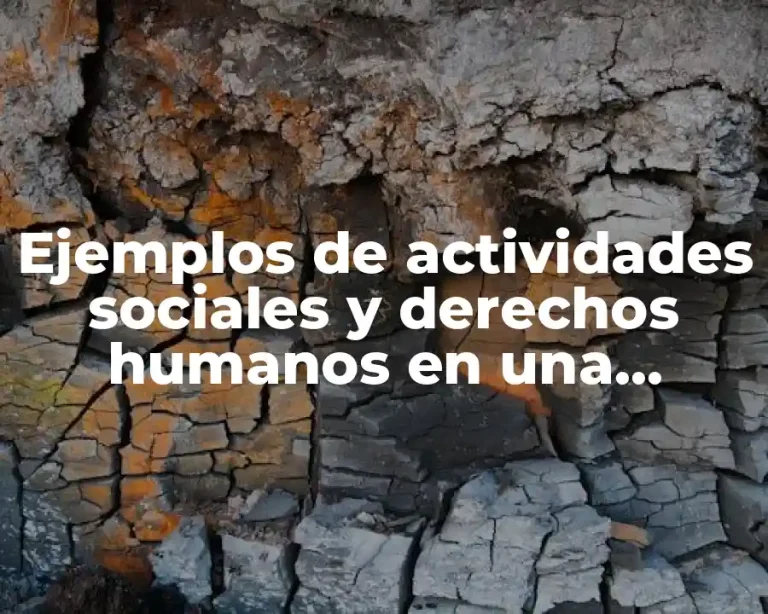 Ejemplos de actividades sociales y derechos humanos en una organización y Significado