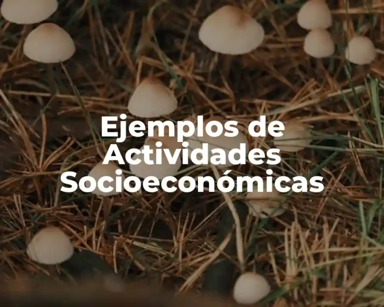 Ejemplos de Actividades Socioeconómicas