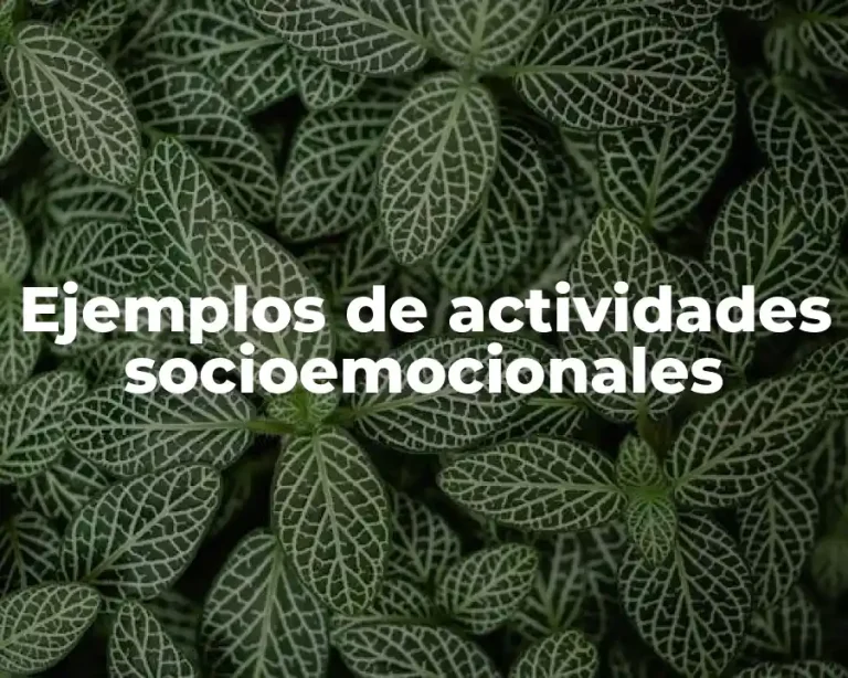 Ejemplos de actividades socioemocionales
