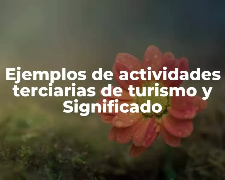 Ejemplos de actividades terciarias de turismo y Significado