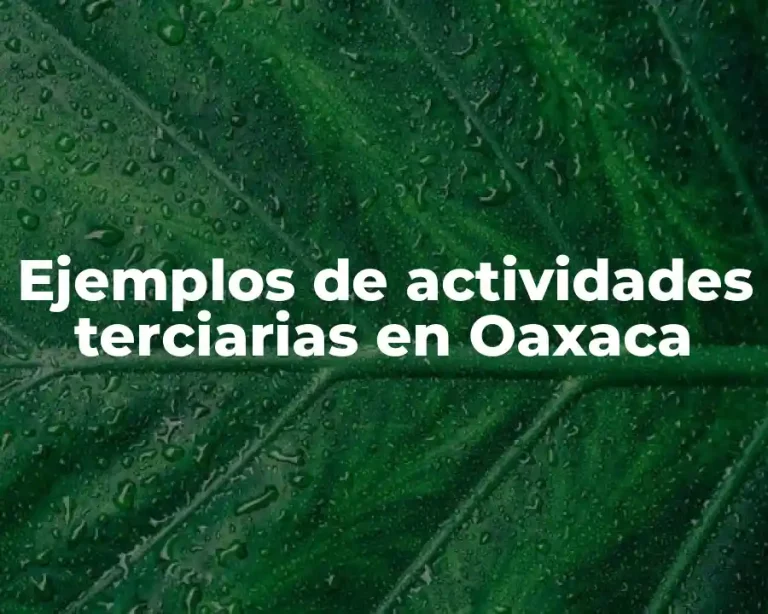 Ejemplos de actividades terciarias en Oaxaca