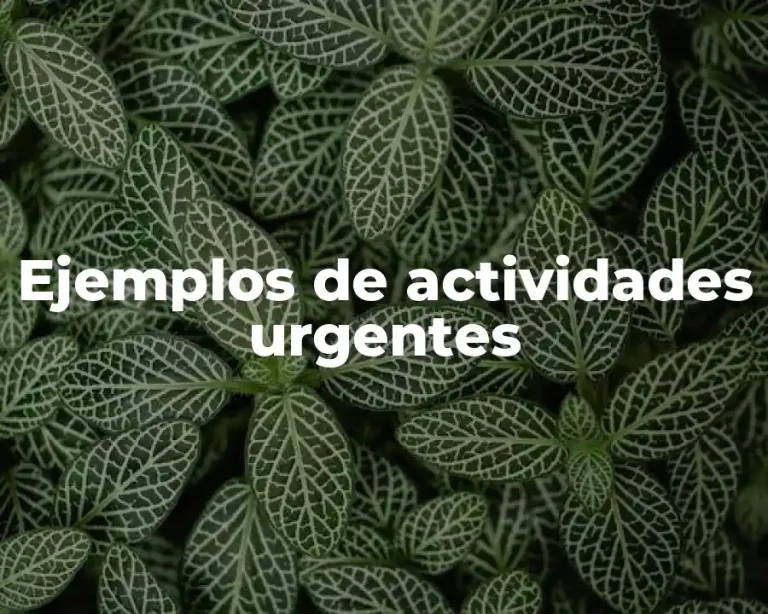 Ejemplos de actividades urgentes
