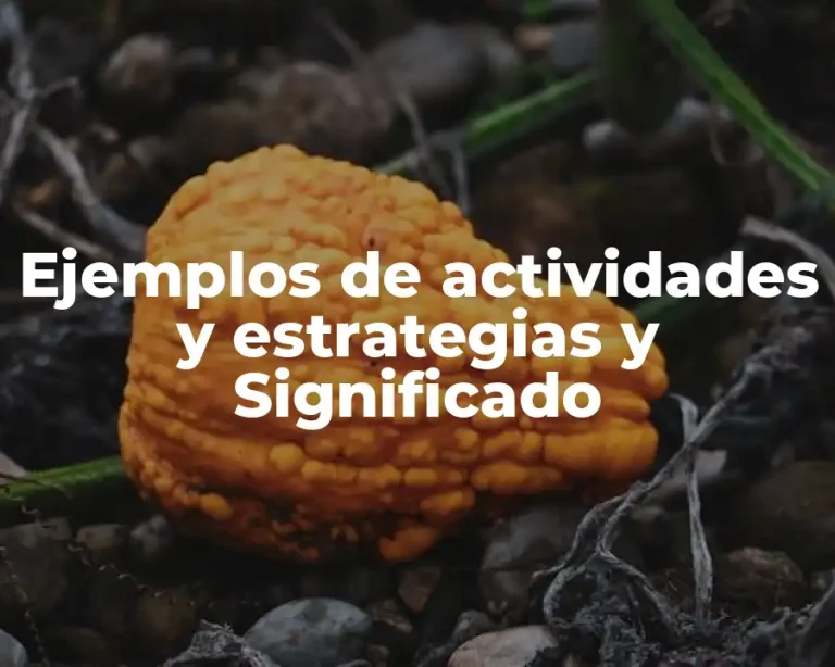 Ejemplos de actividades y estrategias y Significado