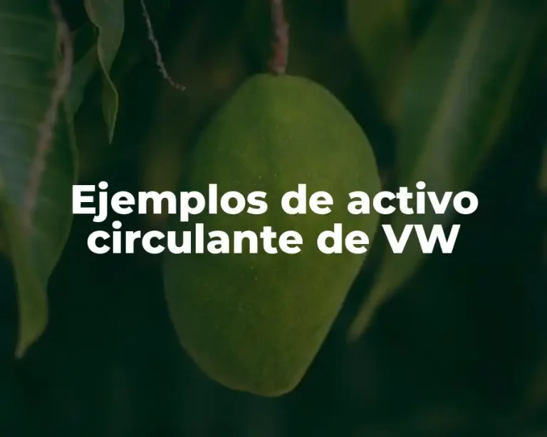 Ejemplos de activo circulante de VW