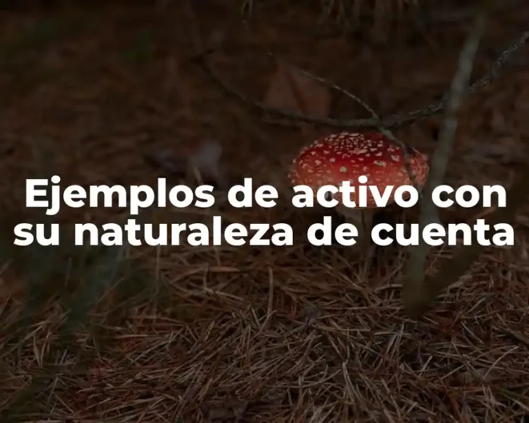 Ejemplos de activo con su naturaleza de cuenta