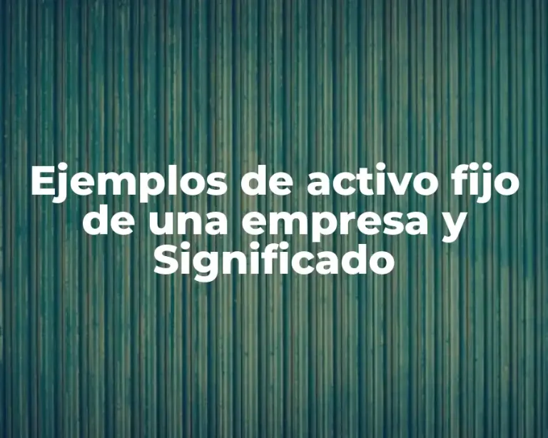 Ejemplos de activo fijo de una empresa y Significado