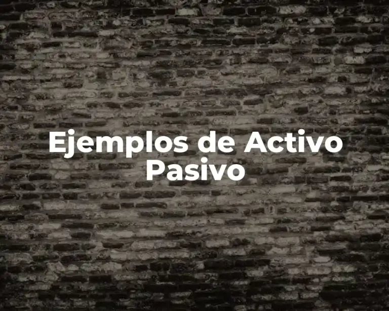 Ejemplos de Activo Pasivo