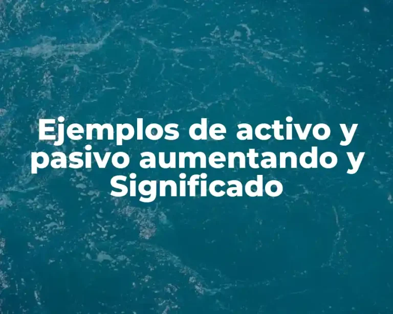 Ejemplos de activo y pasivo aumentando y Significado