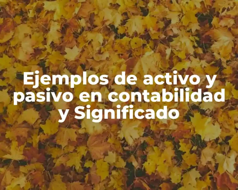 Ejemplos de activo y pasivo en contabilidad y Significado